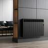 Радиатор электрический Rointe D SERIES DEB0550RAD, 4 секции, цвет графитовый